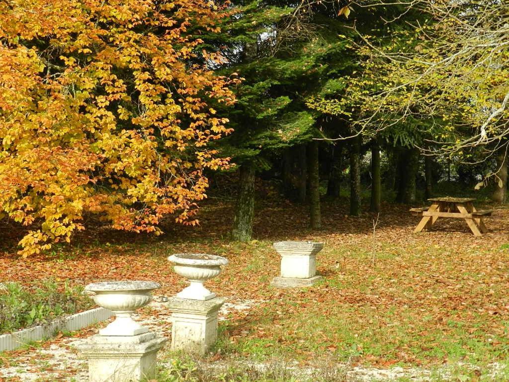 Les Chambres Du Parc Dammarie-sur-Saulx Εξωτερικό φωτογραφία